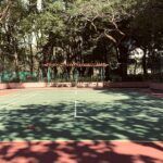 Best Pickleball Courts in Bangalore: Where to Play and Improve Your Game